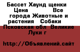 Бассет Хаунд щенки › Цена ­ 20 000 - Все города Животные и растения » Собаки   . Псковская обл.,Великие Луки г.